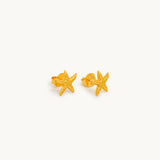 Ocean Star Earrings