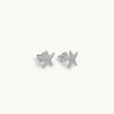 Ocean Star Earrings